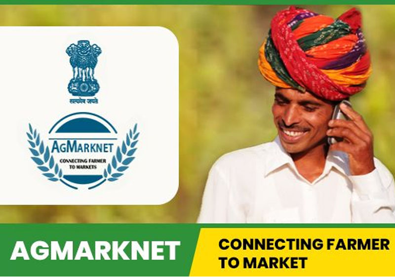 Check prices and arrivals of agricultural commodities